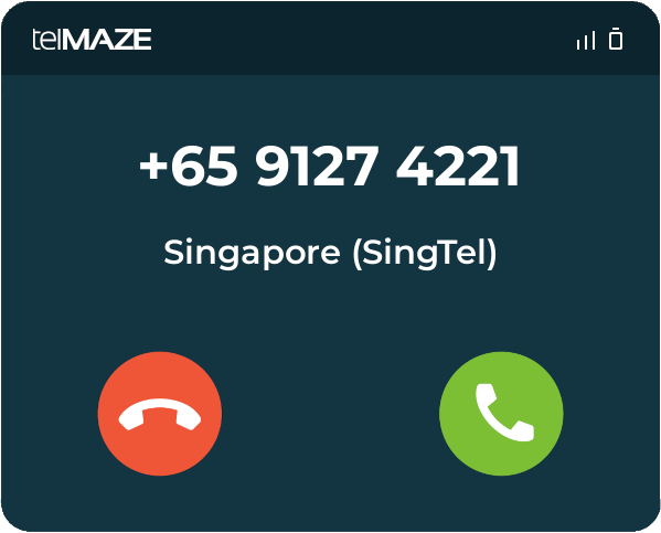 Who is 91274221 / 9127 4221 from Singapore - telMAZE